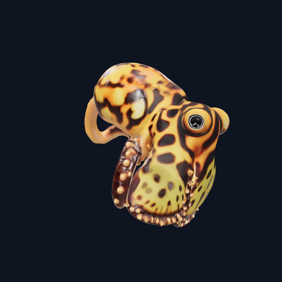 Vibrant Octopus Textured model pack